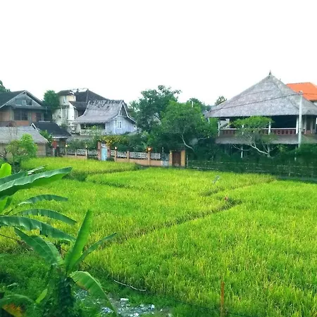Qiul Guest House